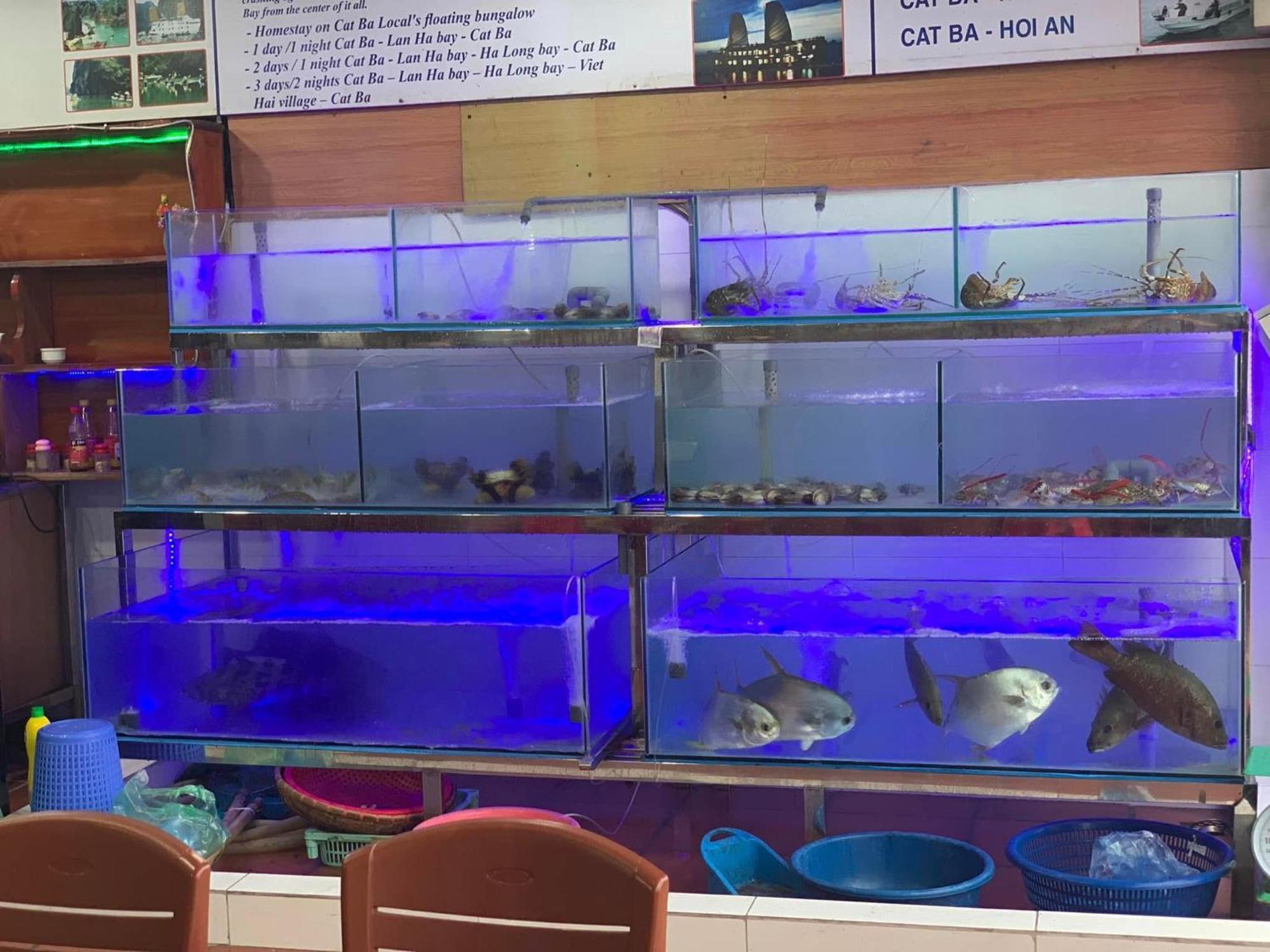 Phuong Phuong Hotel Dong Khe Sau Kültér fotó